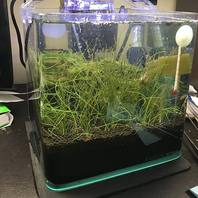 Sakuraさんの実例写真
