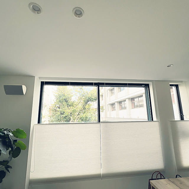 lrikaさんの部屋