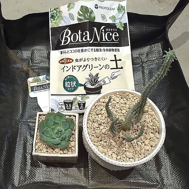 t.yumiさんの部屋