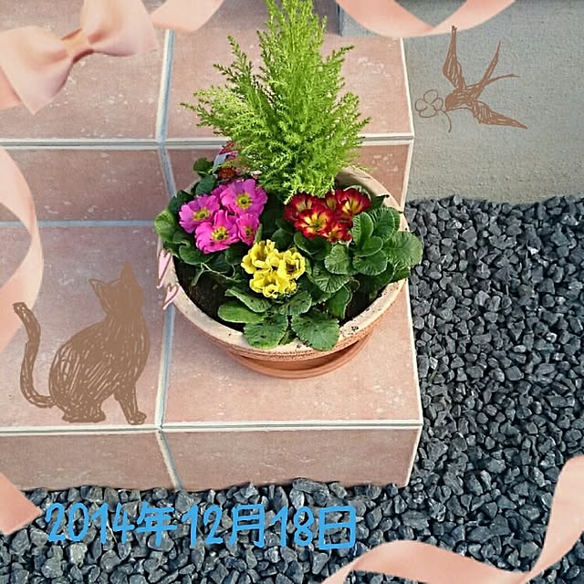 milk_yasuさんの実例写真