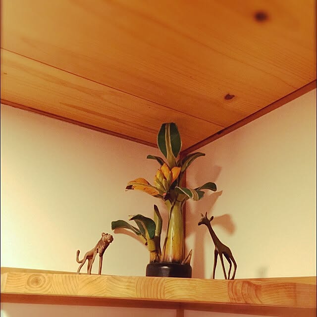 c.g.nikoさんの実例写真