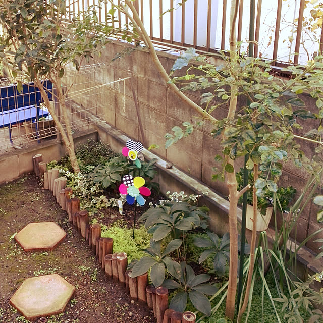 mintさんの実例写真