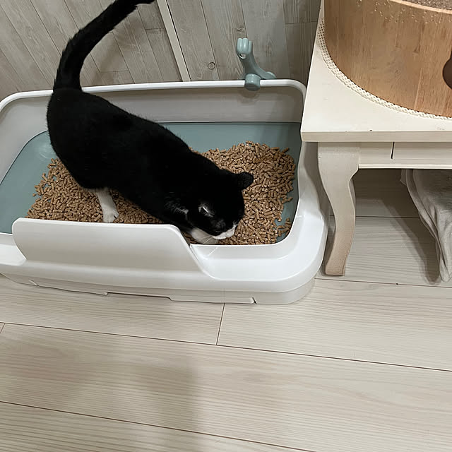 chatnoirさんの部屋