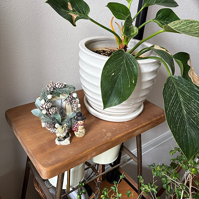 maayaroomさんの部屋