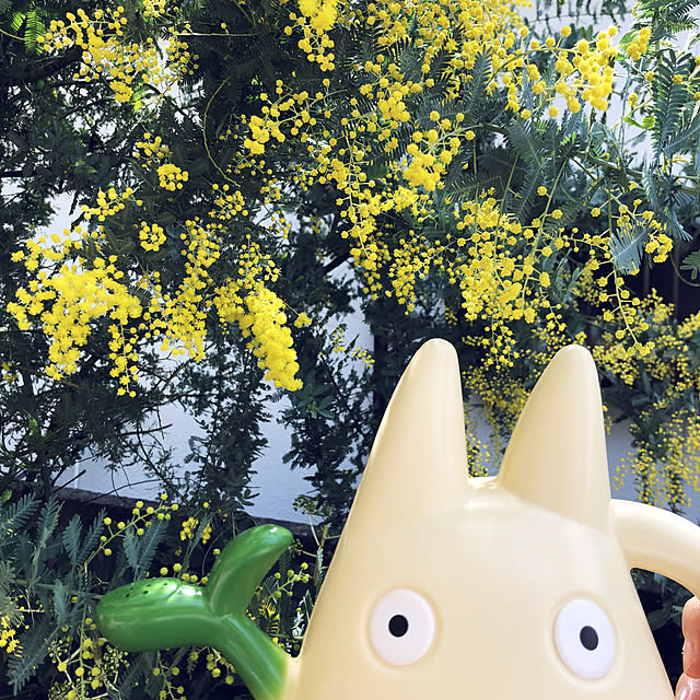 donさんの実例写真