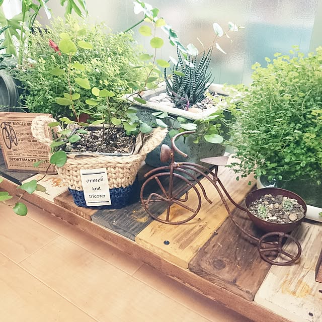 ripさんの実例写真
