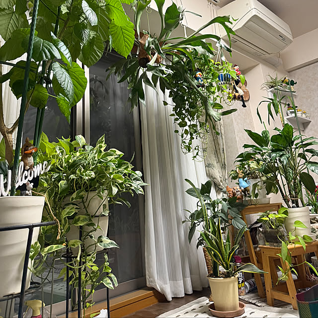 Aqettyさんの部屋
