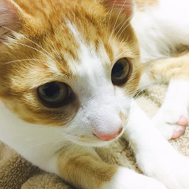 abcさんの実例写真