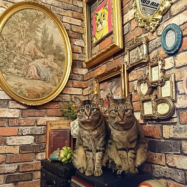 torao.jdさんの実例写真