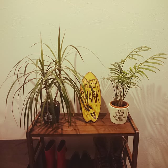 ctttd849さんの実例写真