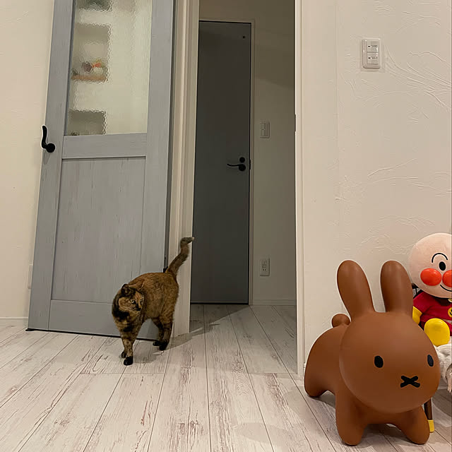 maguwasa_momさんの実例写真