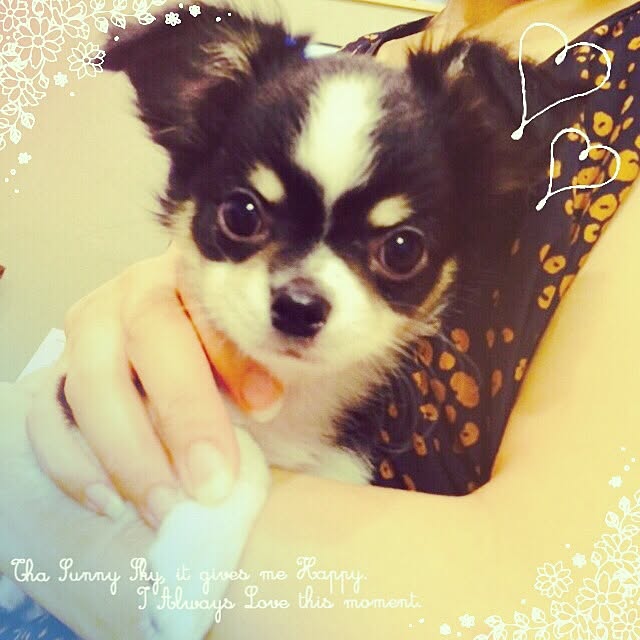 naotin32さんの実例写真