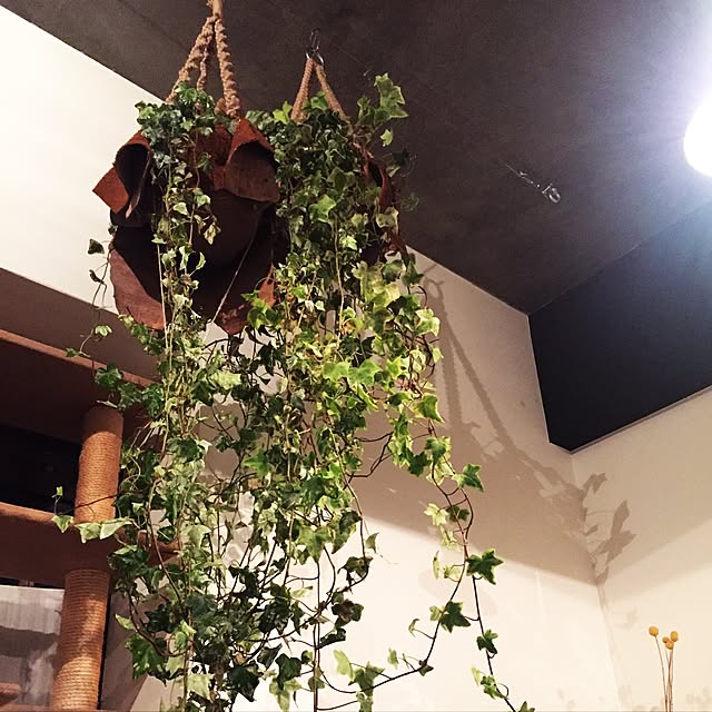 freelife_workさんの実例写真