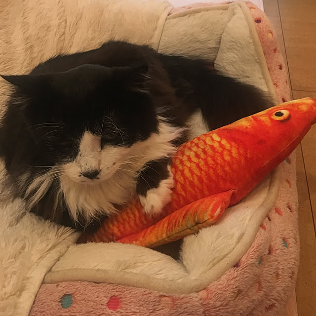 kanaさんの実例写真