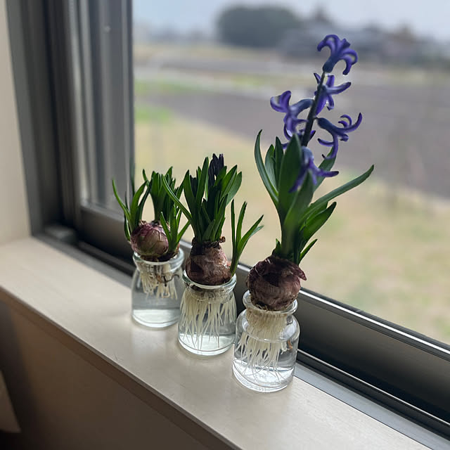 Glassさんの実例写真