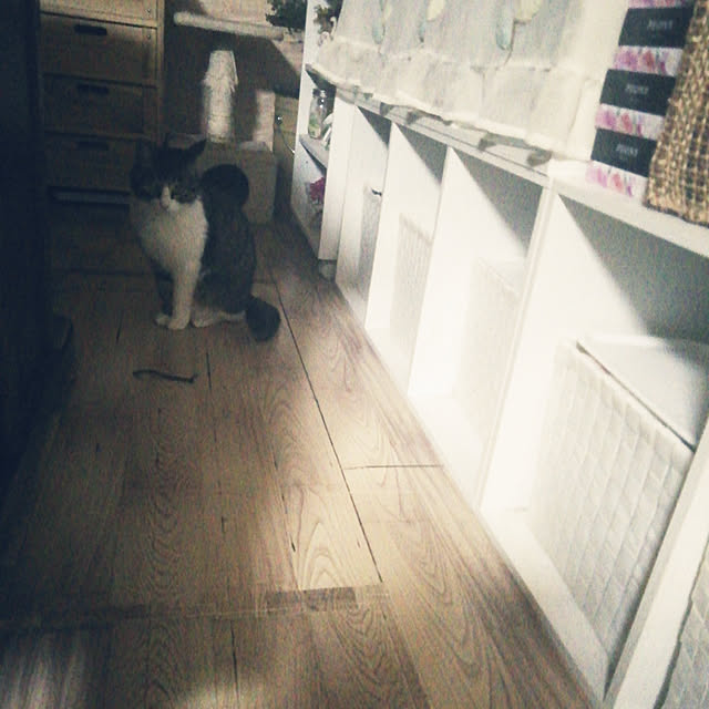 Tomopさんの実例写真