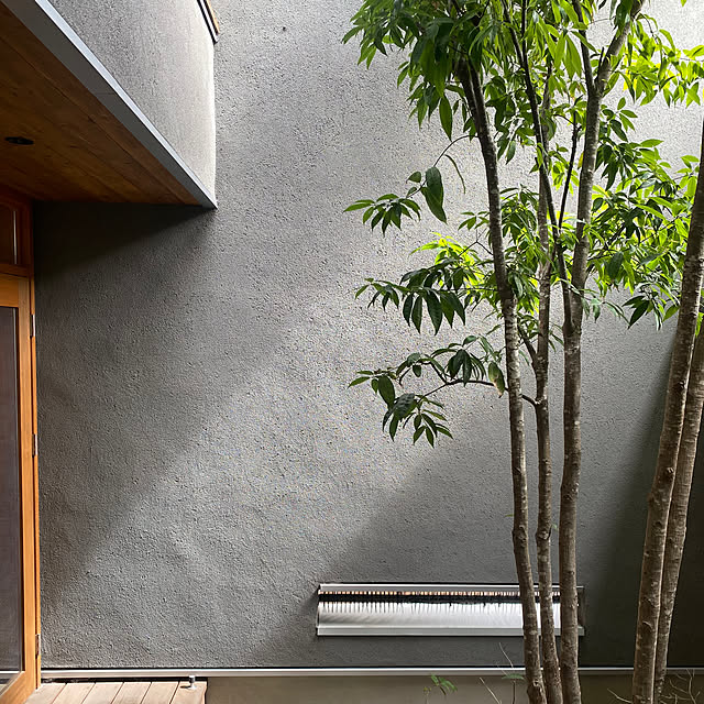 壁/天井/シラカシ/ジョリパッドの壁/ジョリパッド/外壁...などのインテリア実例 - 2026-03-06 12:32:04