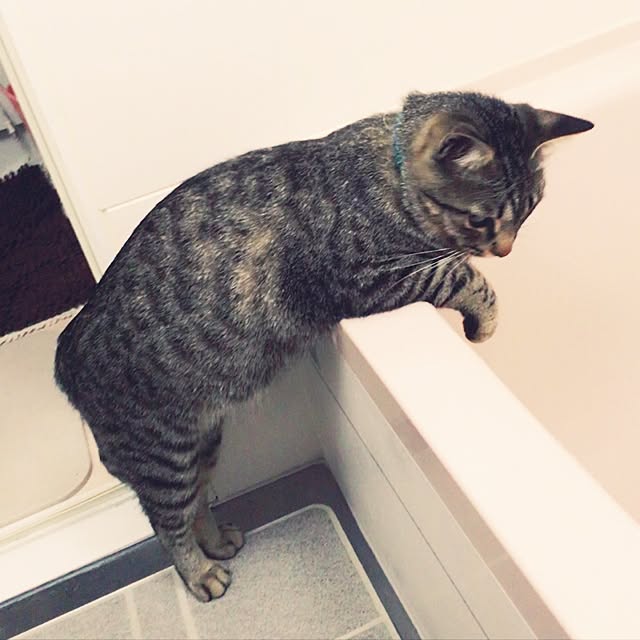 ema_panさんの実例写真