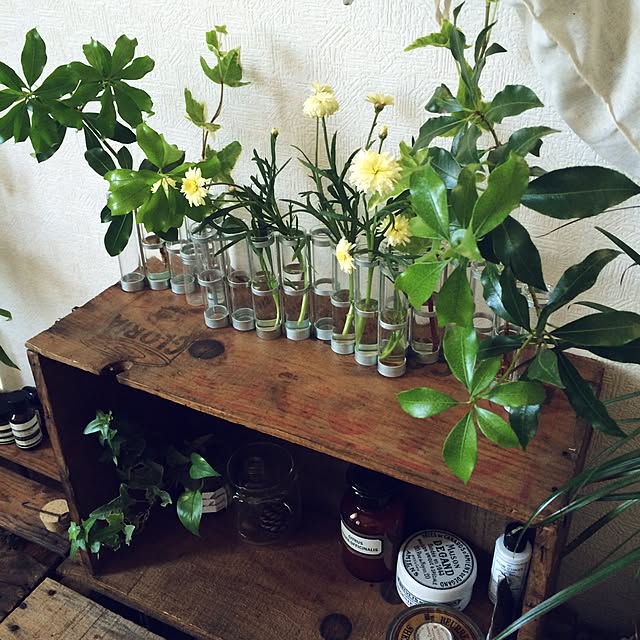 oliveandcheeseさんの実例写真