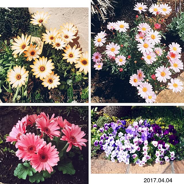 oneone1137さんの実例写真