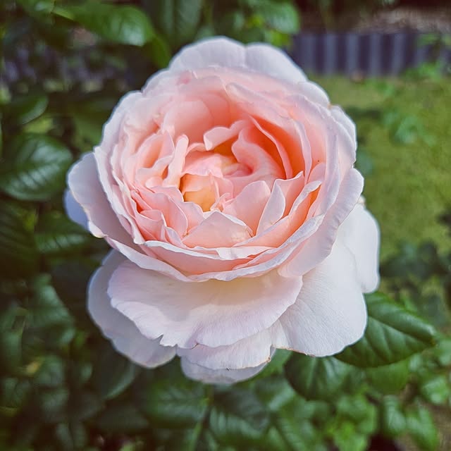 mocomocoさんの実例写真