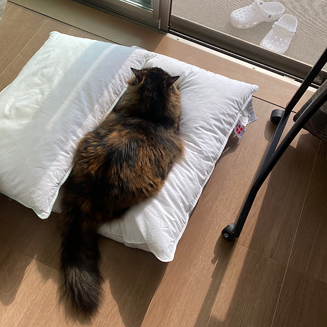 mikomaruさんの実例写真
