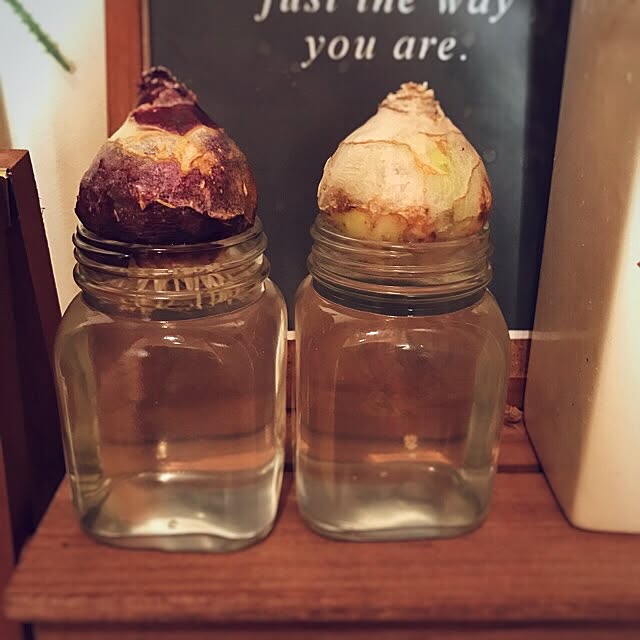 Ssさんの実例写真