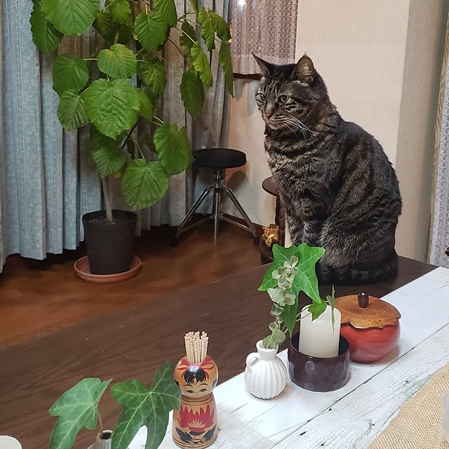 Mayumi8888さんの実例写真