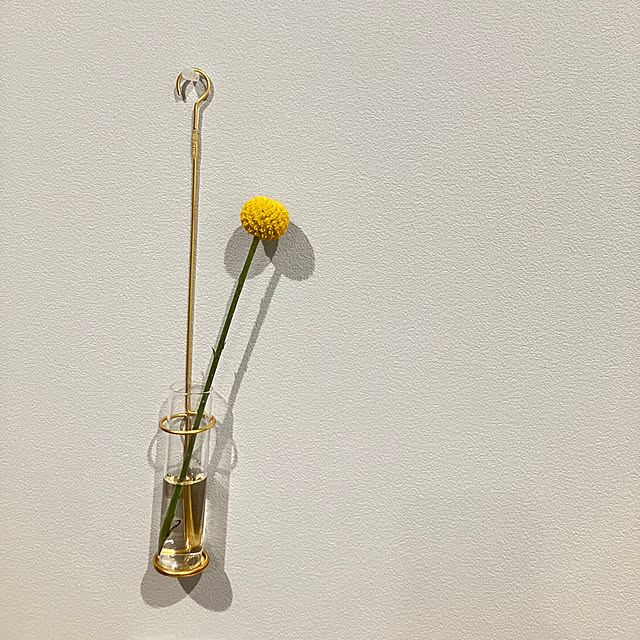 hananoieさんの実例写真