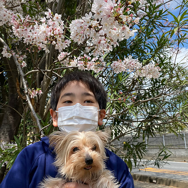 ohanaさんの部屋