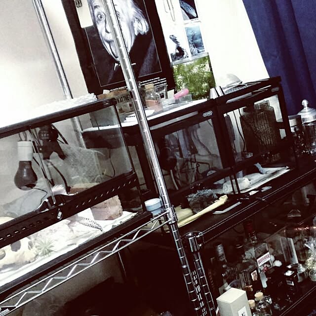 emokid00002さんの実例写真