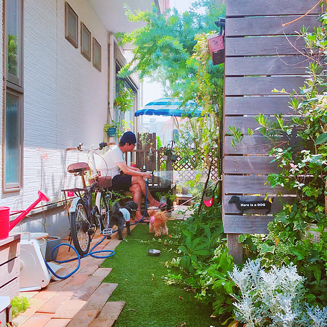 risaさんの実例写真