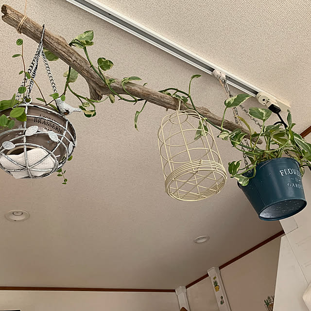 odekoさんの実例写真