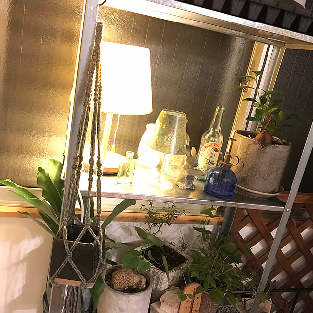 koro5oさんの実例写真