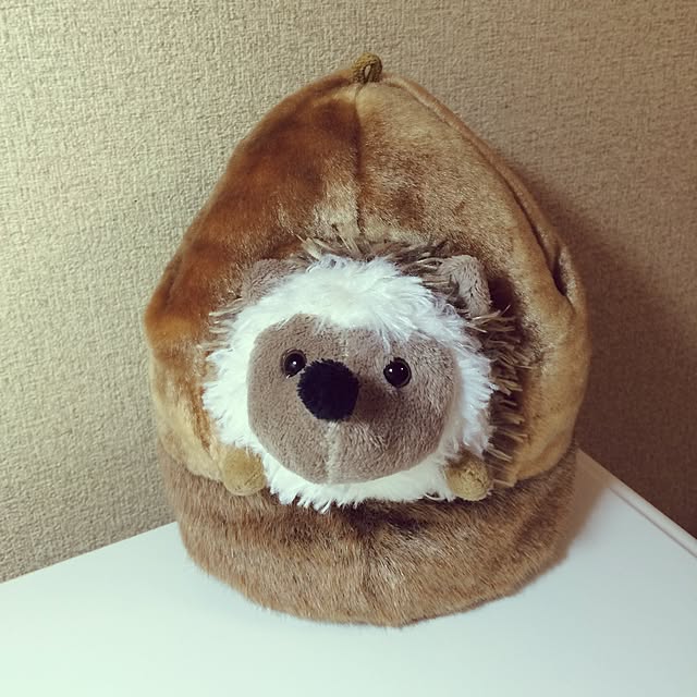 yanagi0345さんの実例写真