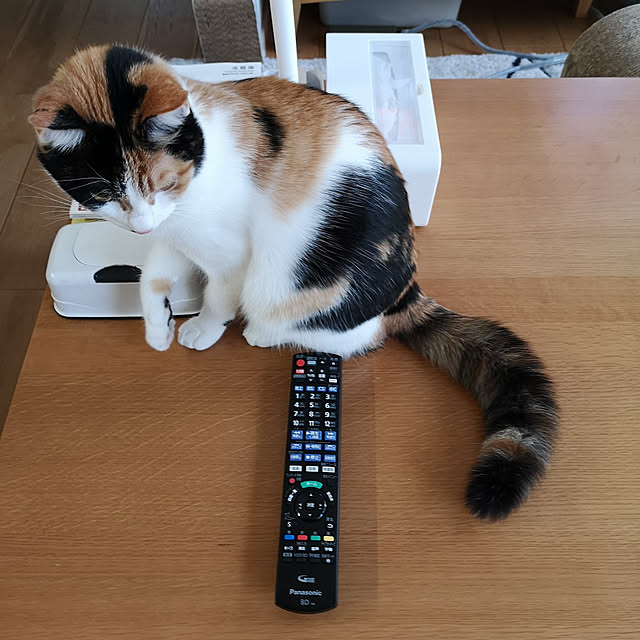 koyurizuさんの実例写真