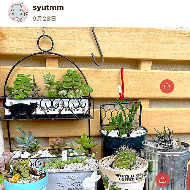 syutmmさんの部屋