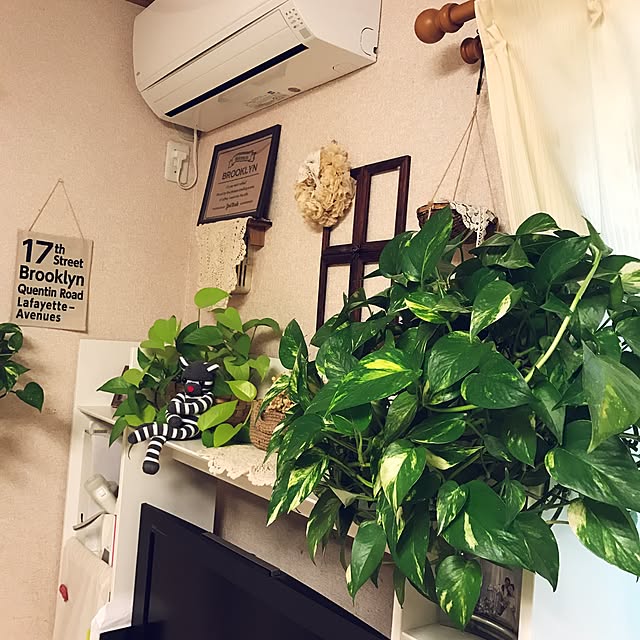 canmilmamaさんの実例写真