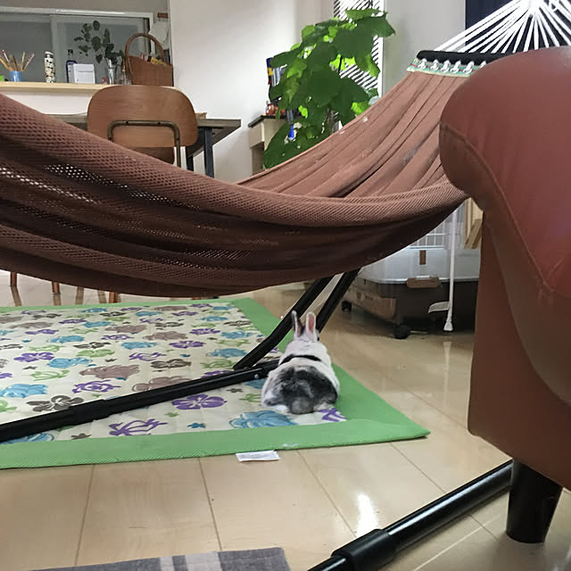 megu12さんの実例写真