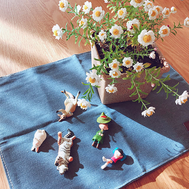 mangoさんの実例写真