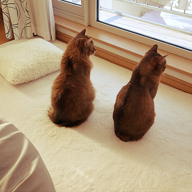 Yumiさんの実例写真