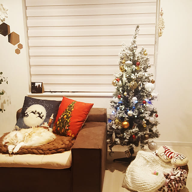 megu.catさんの実例写真