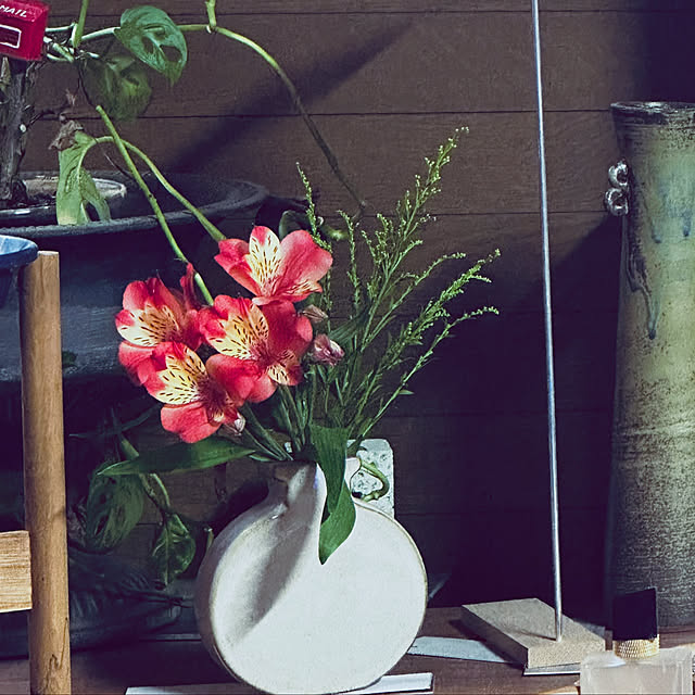 chacoさんの部屋