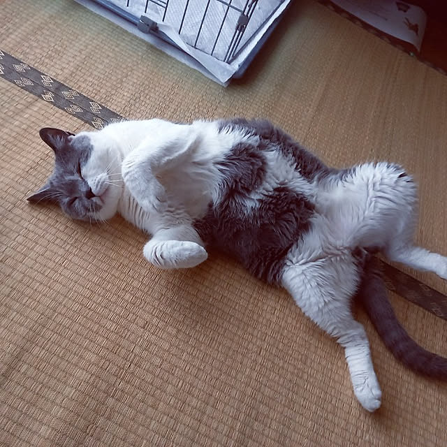 rhuさんの実例写真