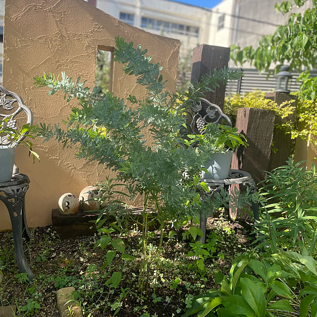 kuikoさんの部屋