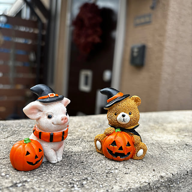 portulacaさんの実例写真