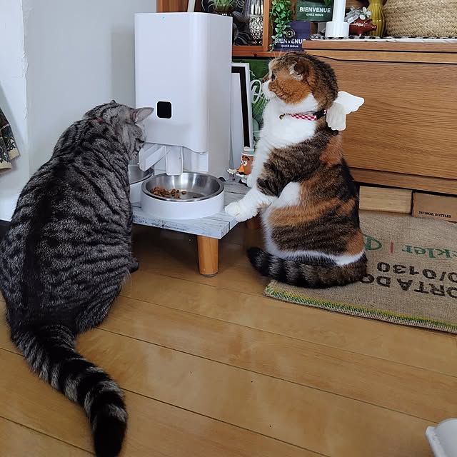 hiro3さんの部屋