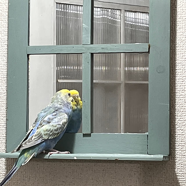 Atsukoさんの部屋