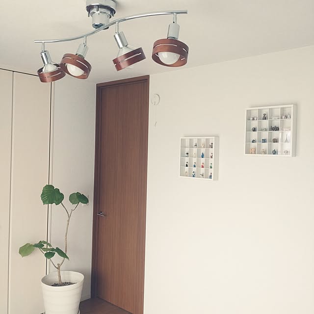 tan5さんの実例写真