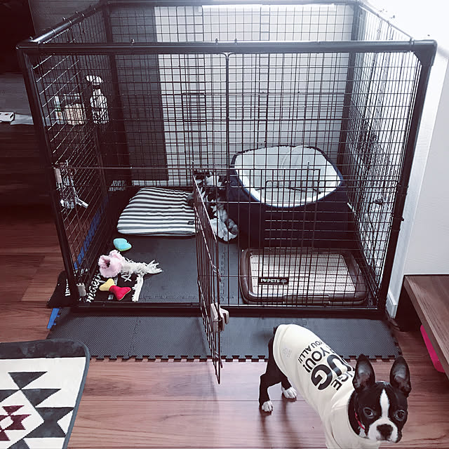 Megugu0512さんの実例写真